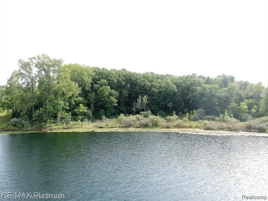 00 Demode Parcel A Road Rose Township MI 48442