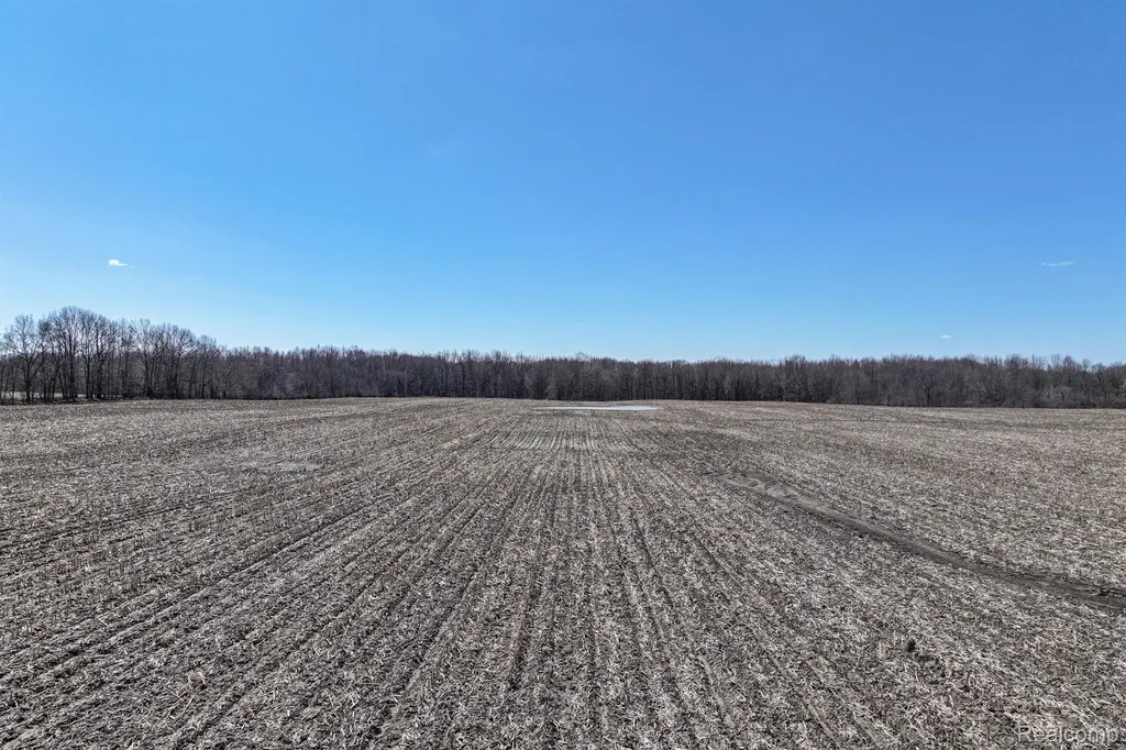 Vl W Oregon Road Elba Township MI 48446