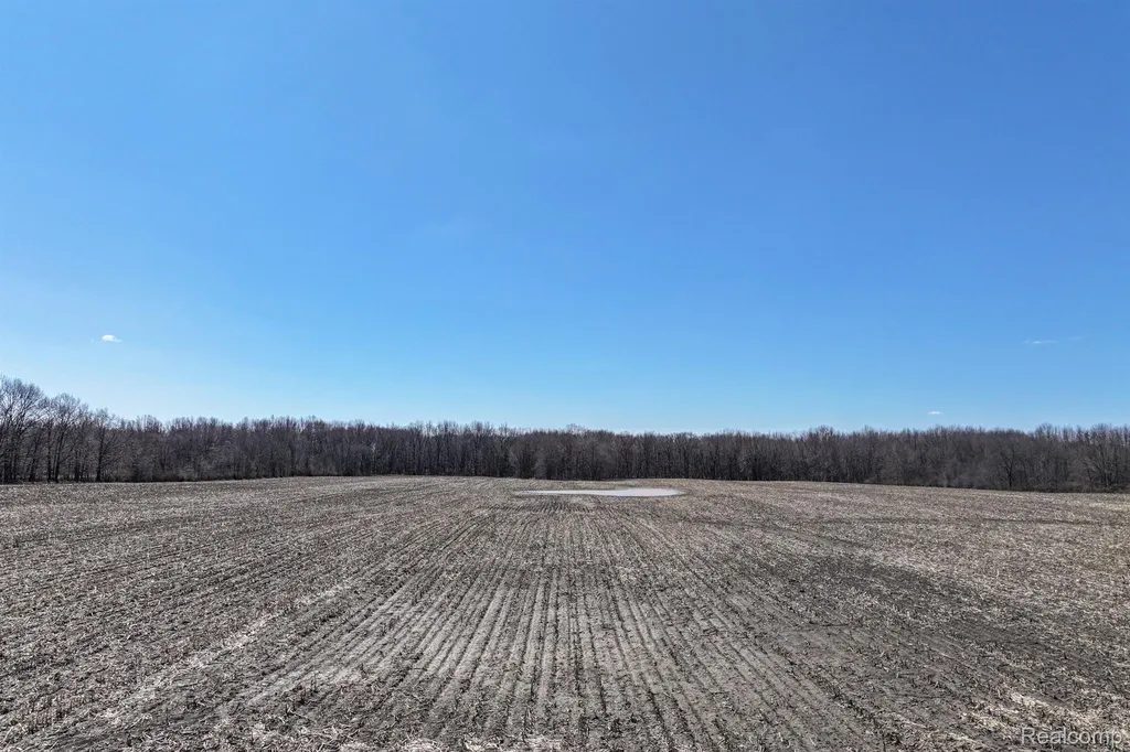 Vl W Oregon Road Elba Township MI 48446