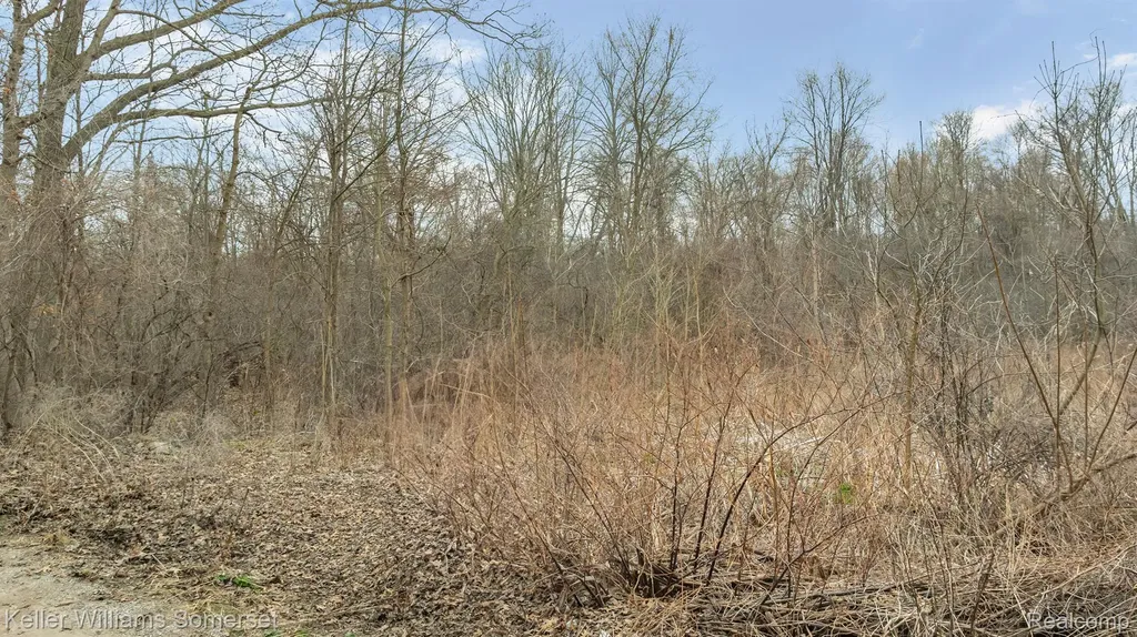 000 Lakeview Drive White Lake Charter Township MI 48386