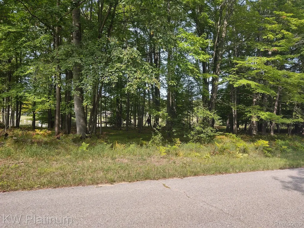 9552 Fawn Lake Drive Morton Township MI 49346