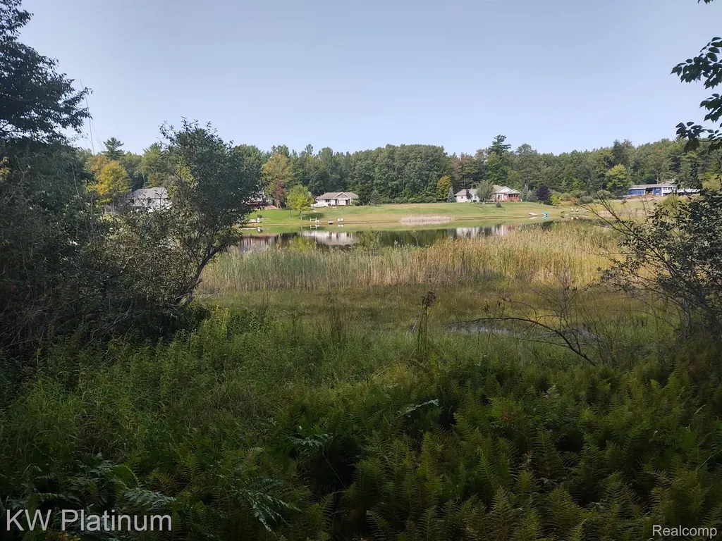 9552 Fawn Lake Drive Morton Township MI 49346