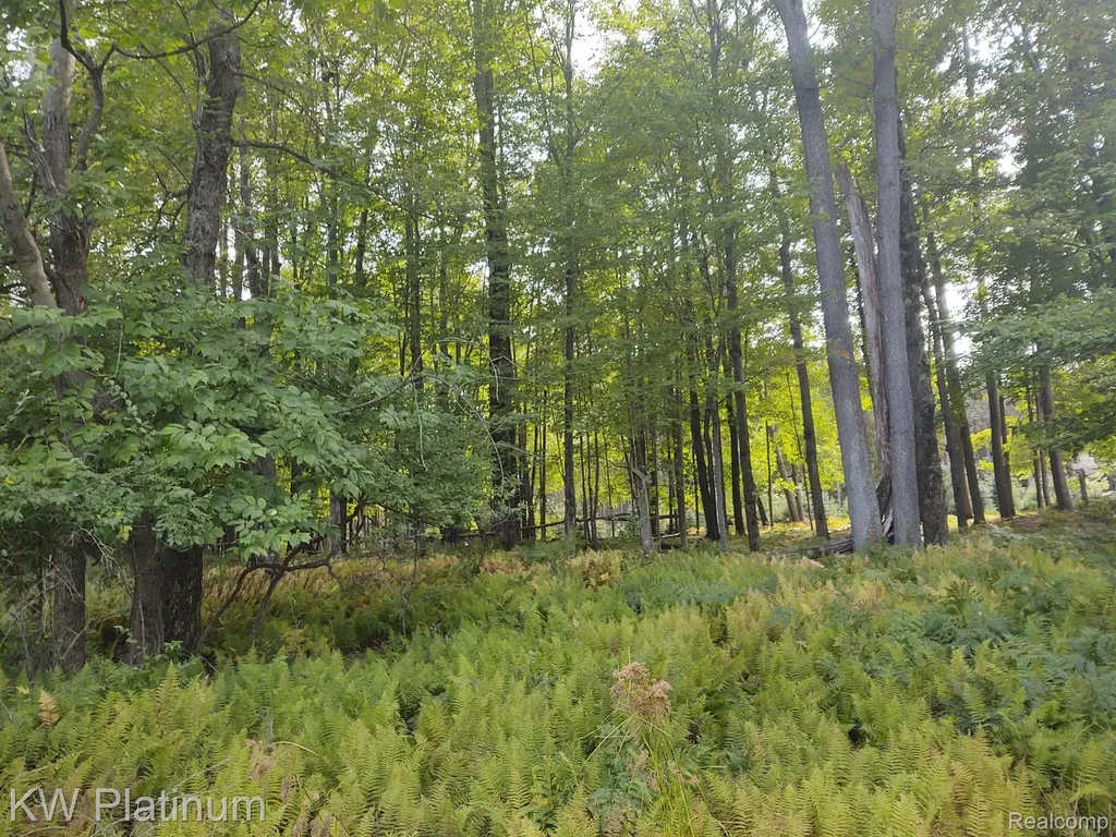 9552 Fawn Lake Drive Morton Township MI 49346