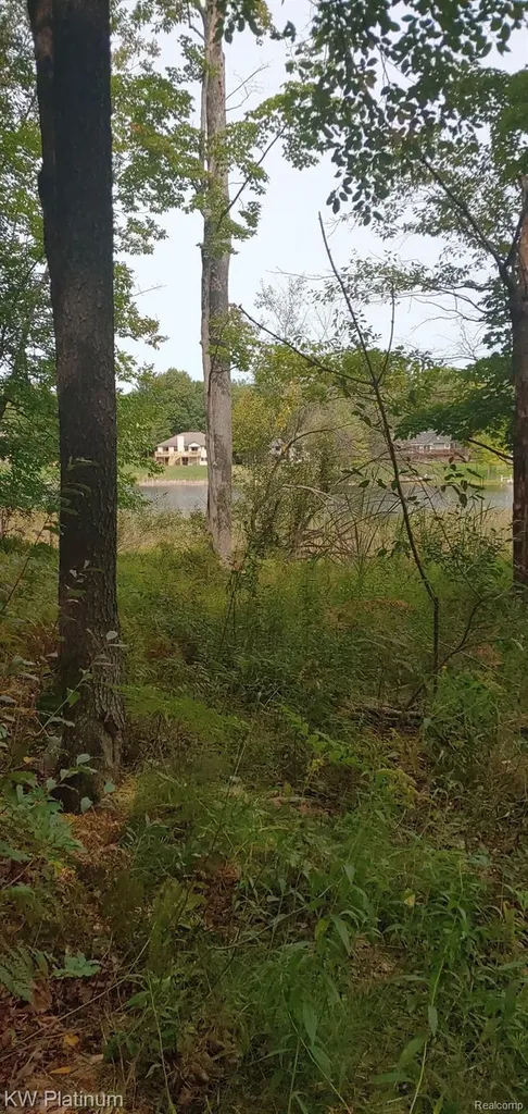 9552 Fawn Lake Drive Morton Township MI 49346
