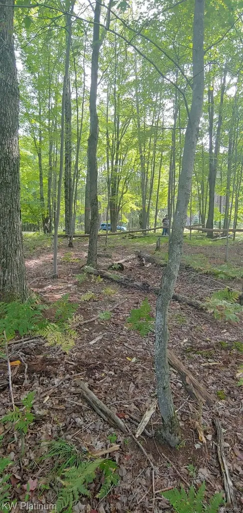 9552 Fawn Lake Drive Morton Township MI 49346