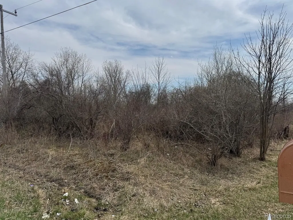 000 Metcalf Road Clyde Township MI 48049