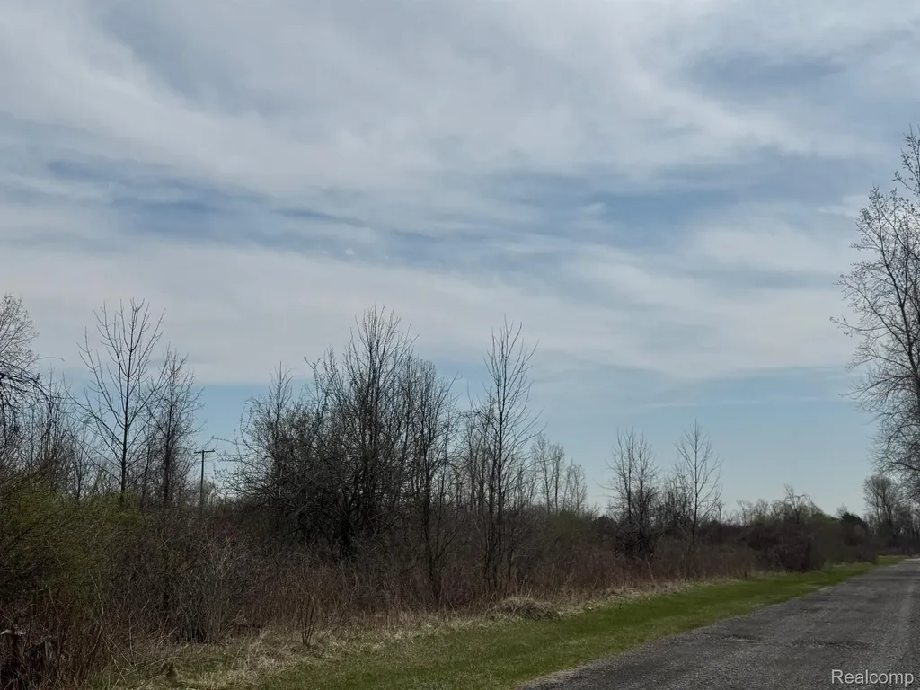 00 Metcalf Road Clyde Township MI 48049