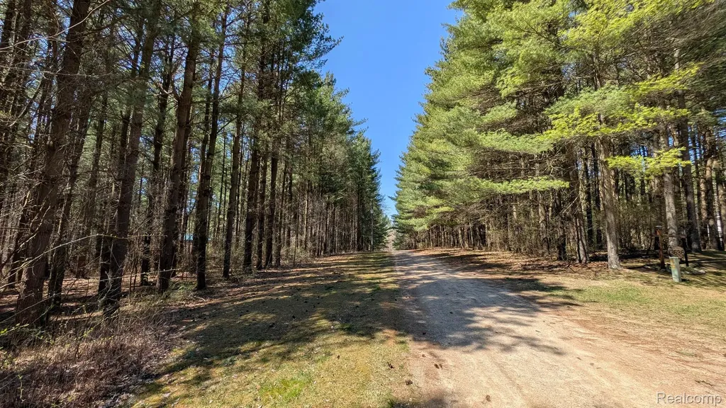 3665 Arivaca Drive Millington Township MI 48746