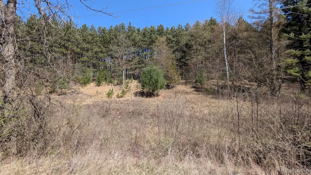 3665 Arivaca Drive Millington Township MI 48746
