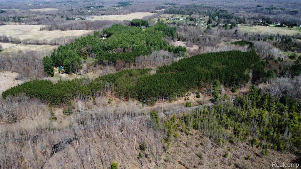 3665 Arivaca Drive Millington Township MI 48746