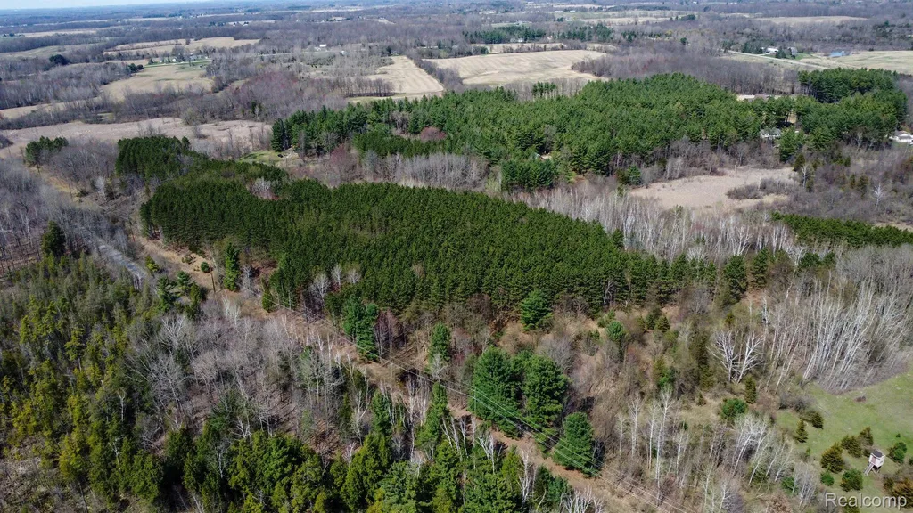 3665 Arivaca Drive Millington Township MI 48746
