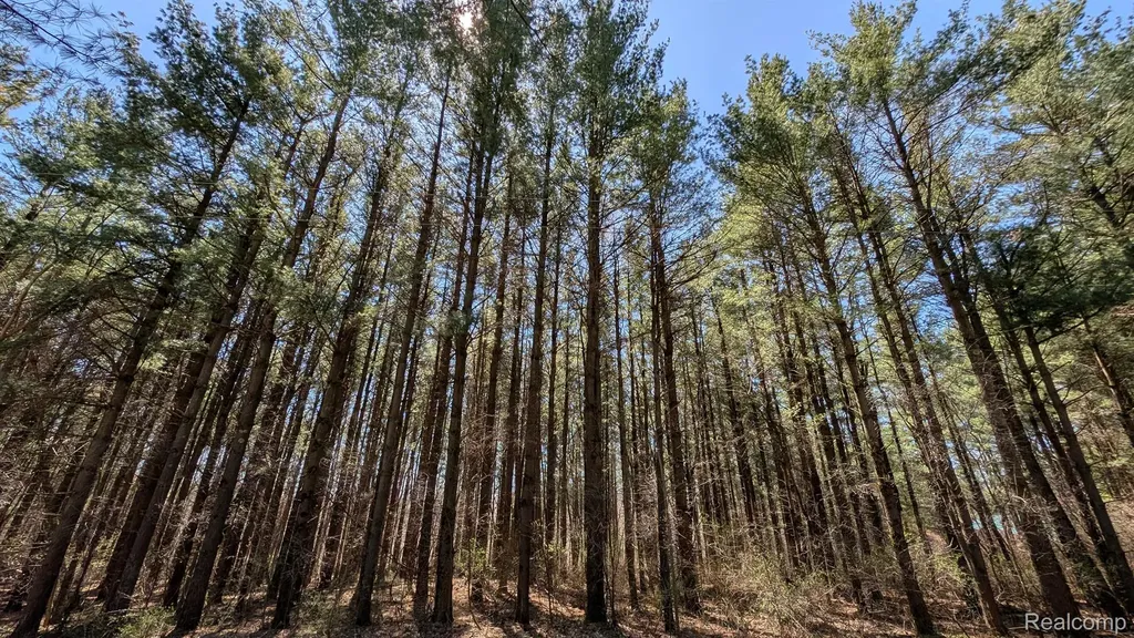3665 Arivaca Drive Millington Township MI 48746