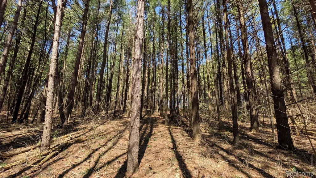 3665 Arivaca Drive Millington Township MI 48746