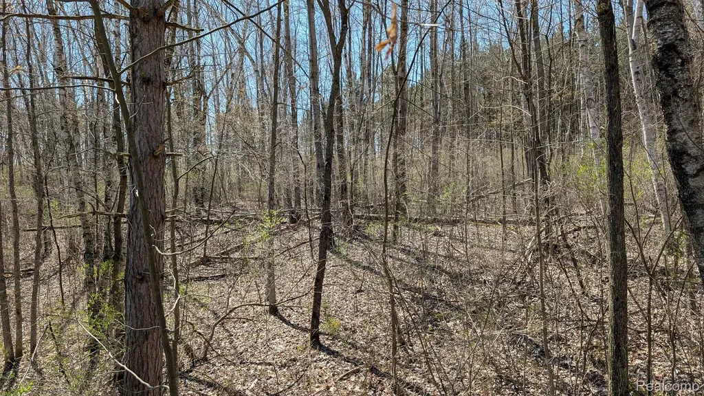 3665 Arivaca Drive Millington Township MI 48746