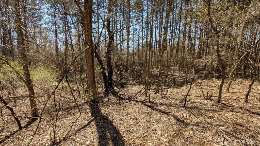 3665 Arivaca Drive Millington Township MI 48746