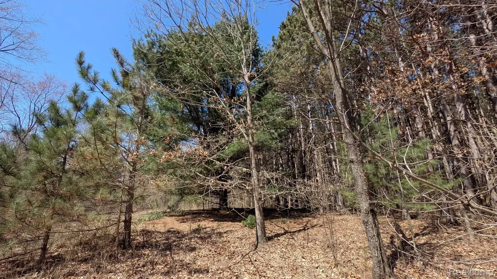 3665 Arivaca Drive Millington Township MI 48746