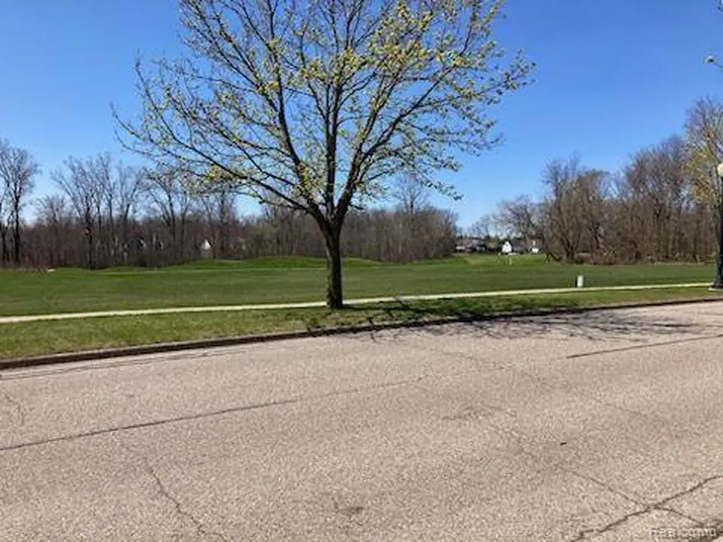 10195 Golfside Drive Grand Blanc Charter Township MI 48439