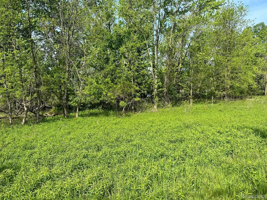 D N Holly Holly Township MI 48442