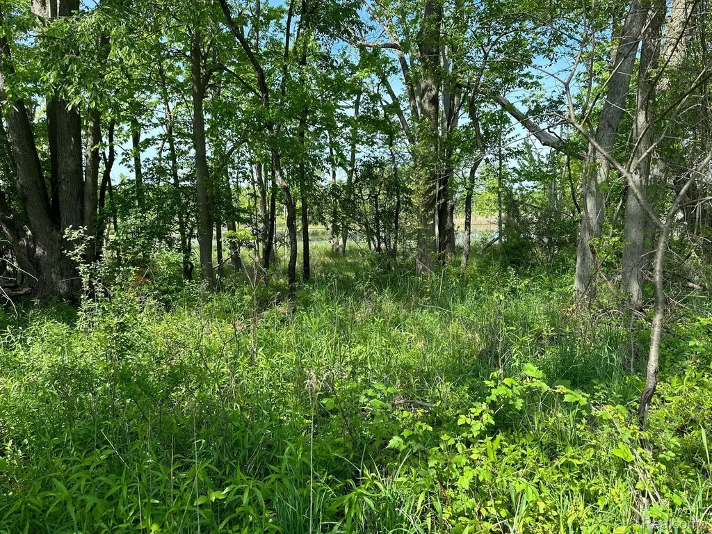 D N Holly Holly Township MI 48442