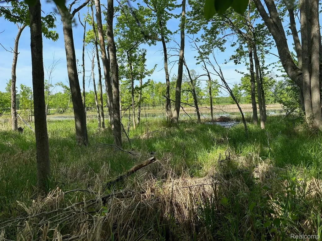 D N Holly Holly Township MI 48442