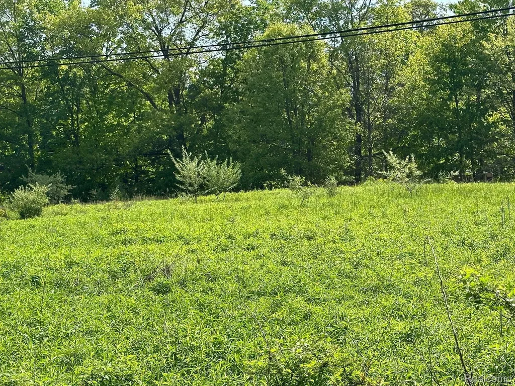 D N Holly Holly Township MI 48442