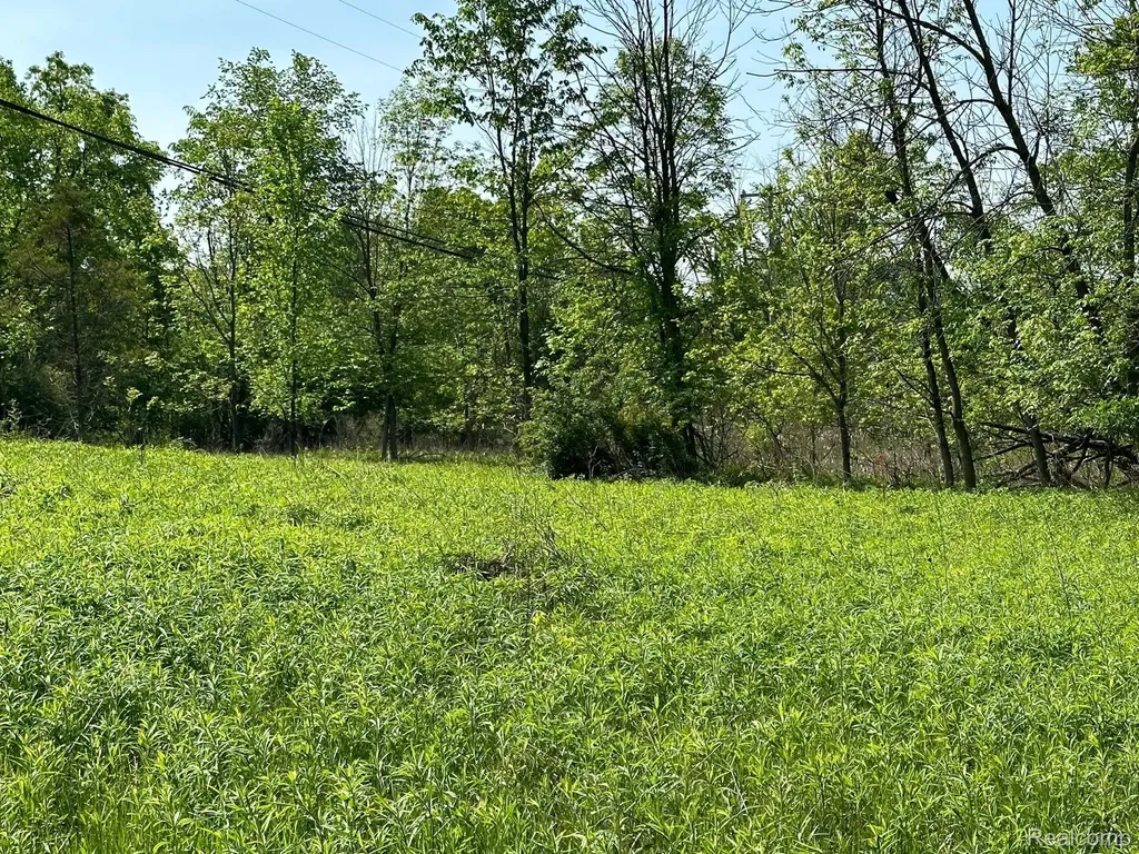 D N Holly Holly Township MI 48442