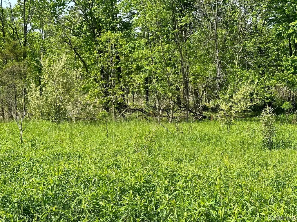 D N Holly Holly Township MI 48442