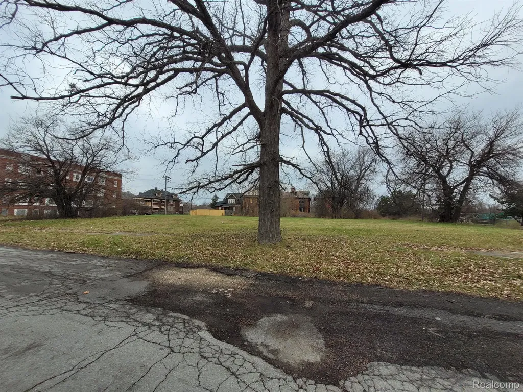 1546 Collingwood Street Detroit City MI 48206