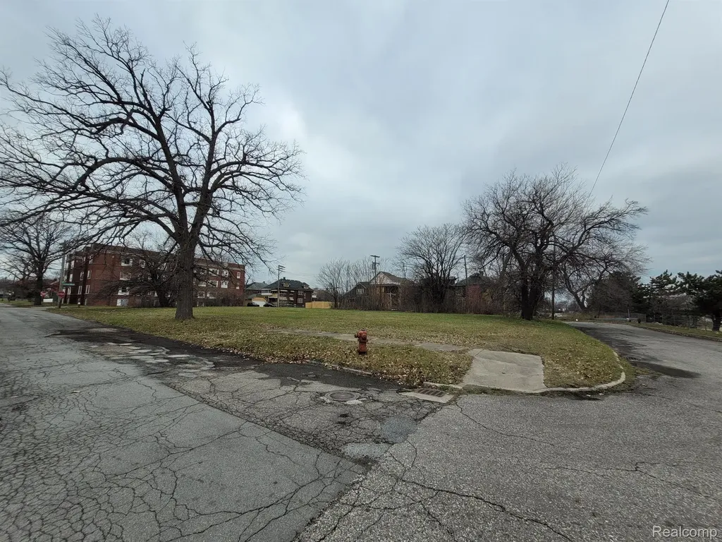 1546 Collingwood Street Detroit City MI 48206