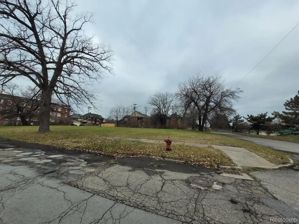1546 Collingwood Street Detroit City MI 48206
