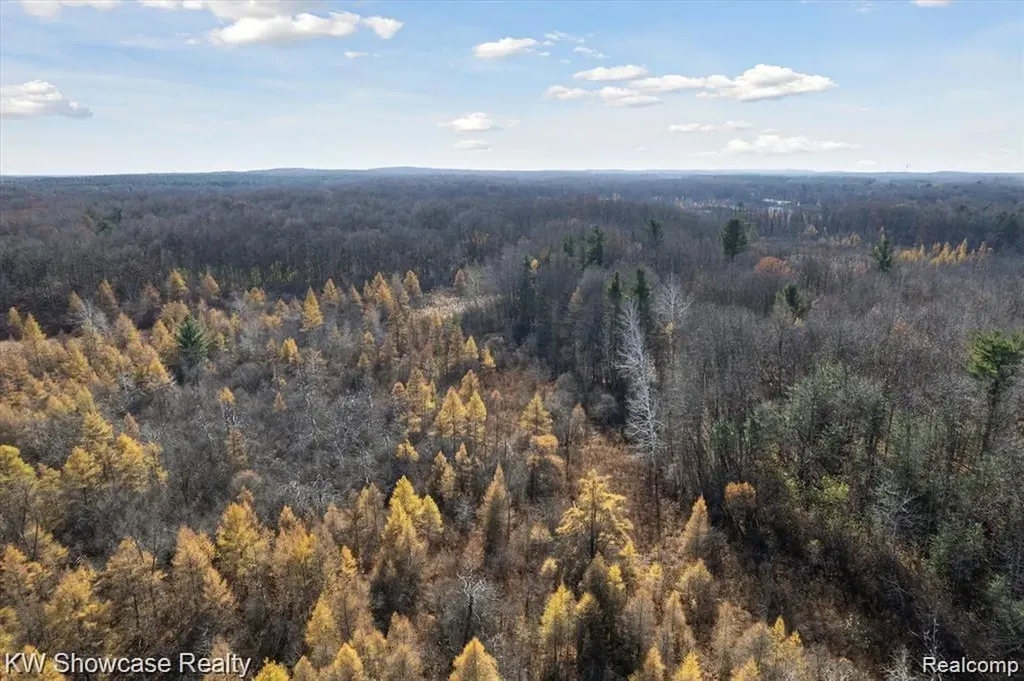 1716 E Wardlow Road Highland Charter Township MI 48356