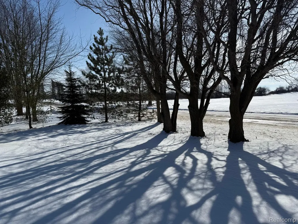 7595 Brooks Road Burnside Township MI 48416