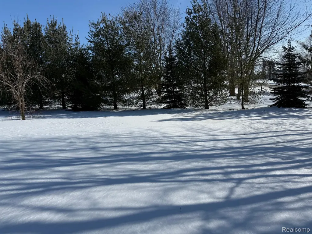 7595 Brooks Road Burnside Township MI 48416