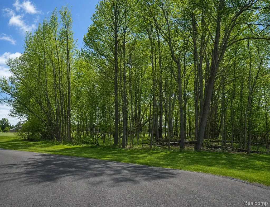 4171 Belle Ridge Drive Dryden Township MI 48428