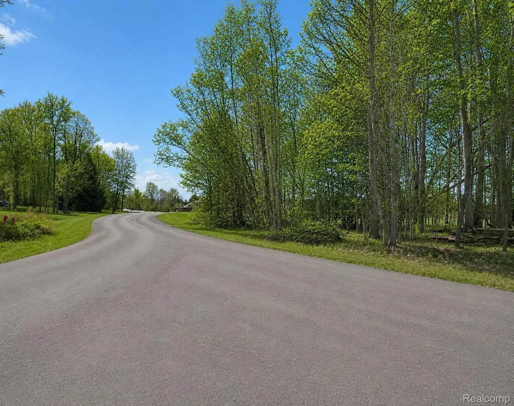 4171 Belle Ridge Drive Dryden Township MI 48428