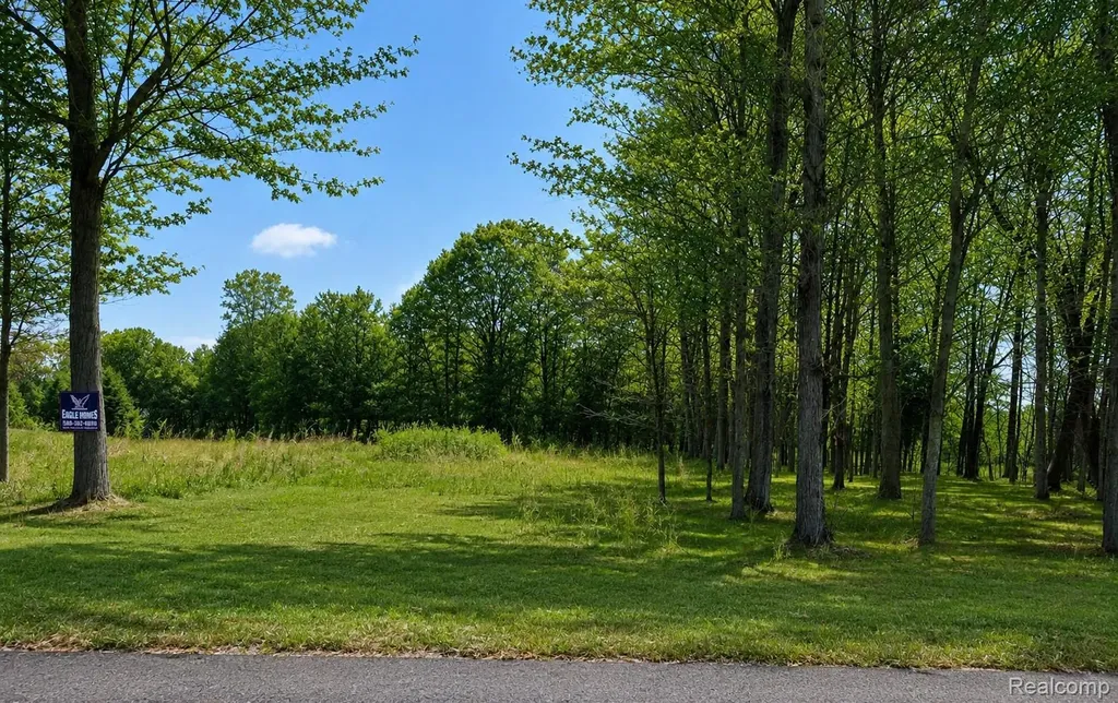 4171 Belle Ridge Drive Dryden Township MI 48428