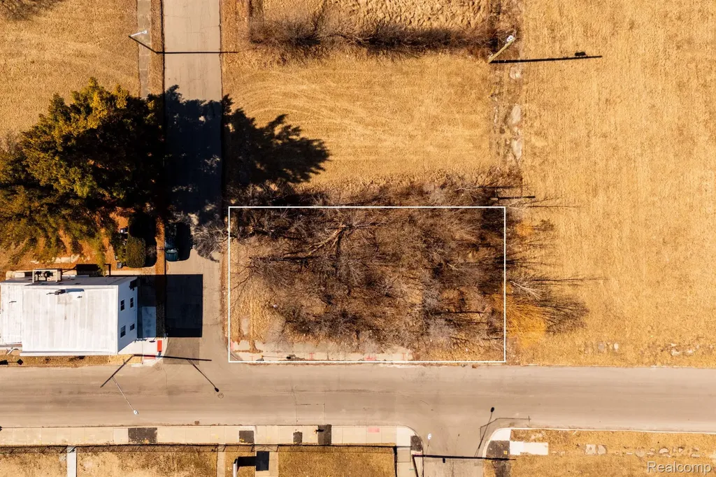 1401 Crane Street Detroit City MI 48214