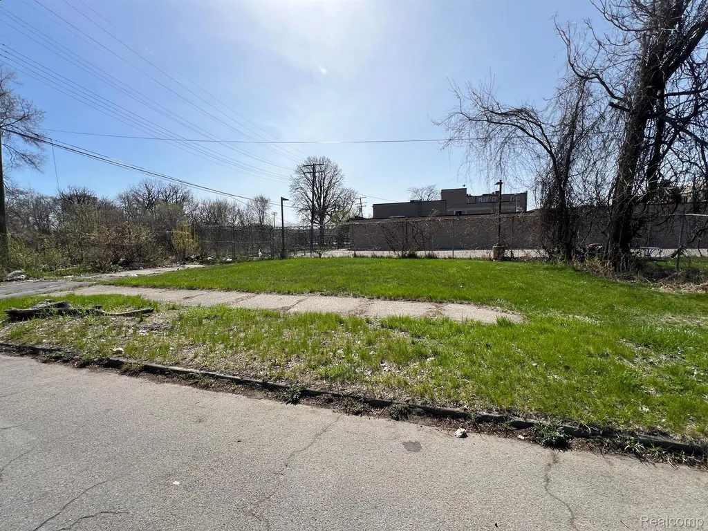 3674 Mount Elliott Street Detroit City MI 48207