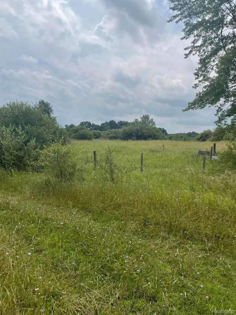 0000 Brauer Road Metamora Township MI 48371