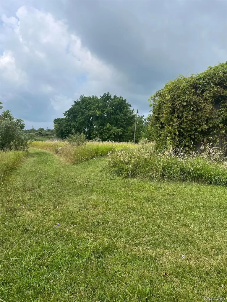 0000 Brauer Road Metamora Township MI 48371