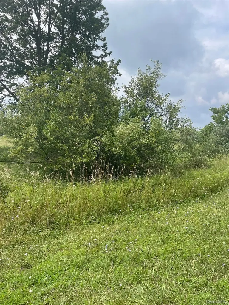 0000 Brauer Road Metamora Township MI 48371