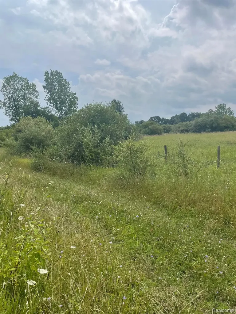 0000 Brauer Road Metamora Township MI 48371