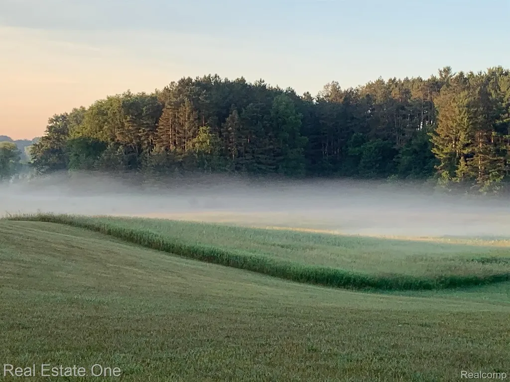 Oceola Township MI 48855