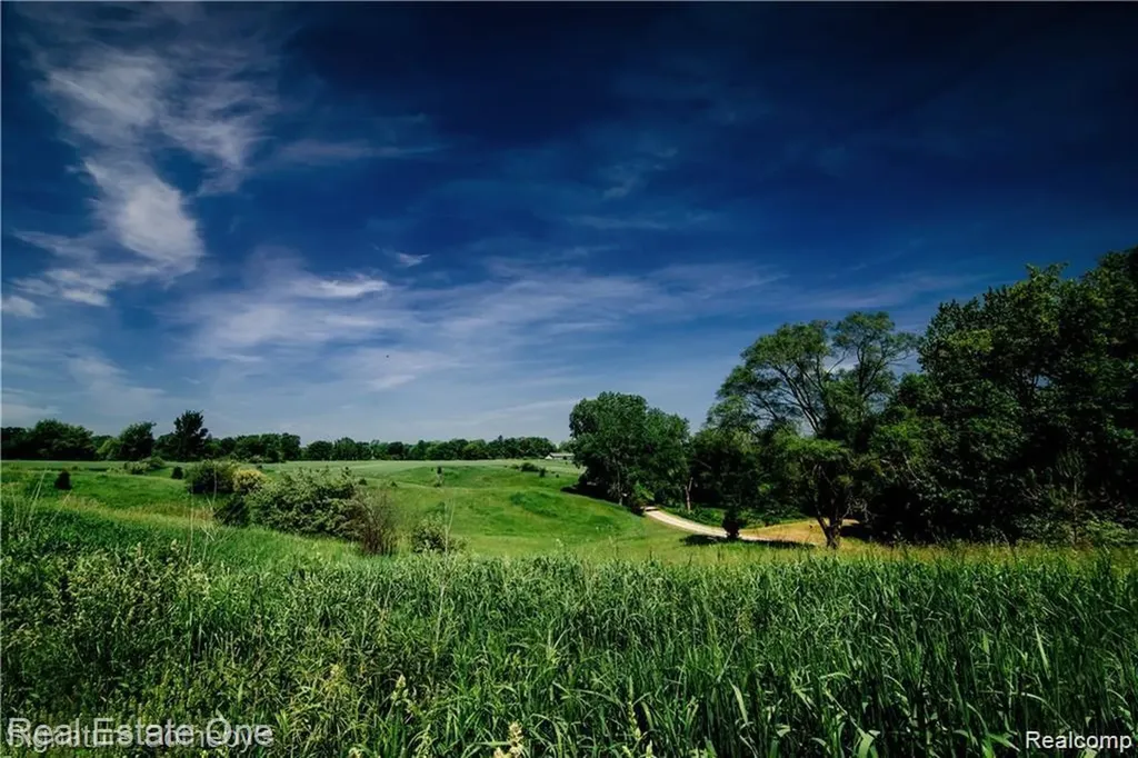 Oceola Township MI 48855