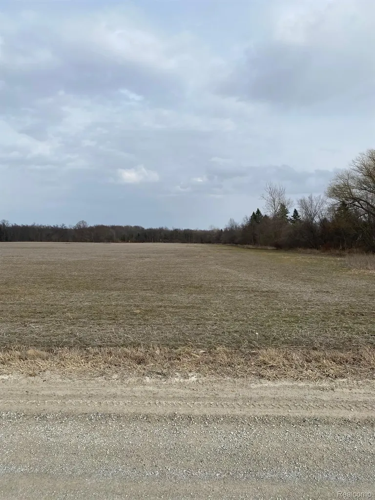 0002 Howland Road Almont Township MI 48003