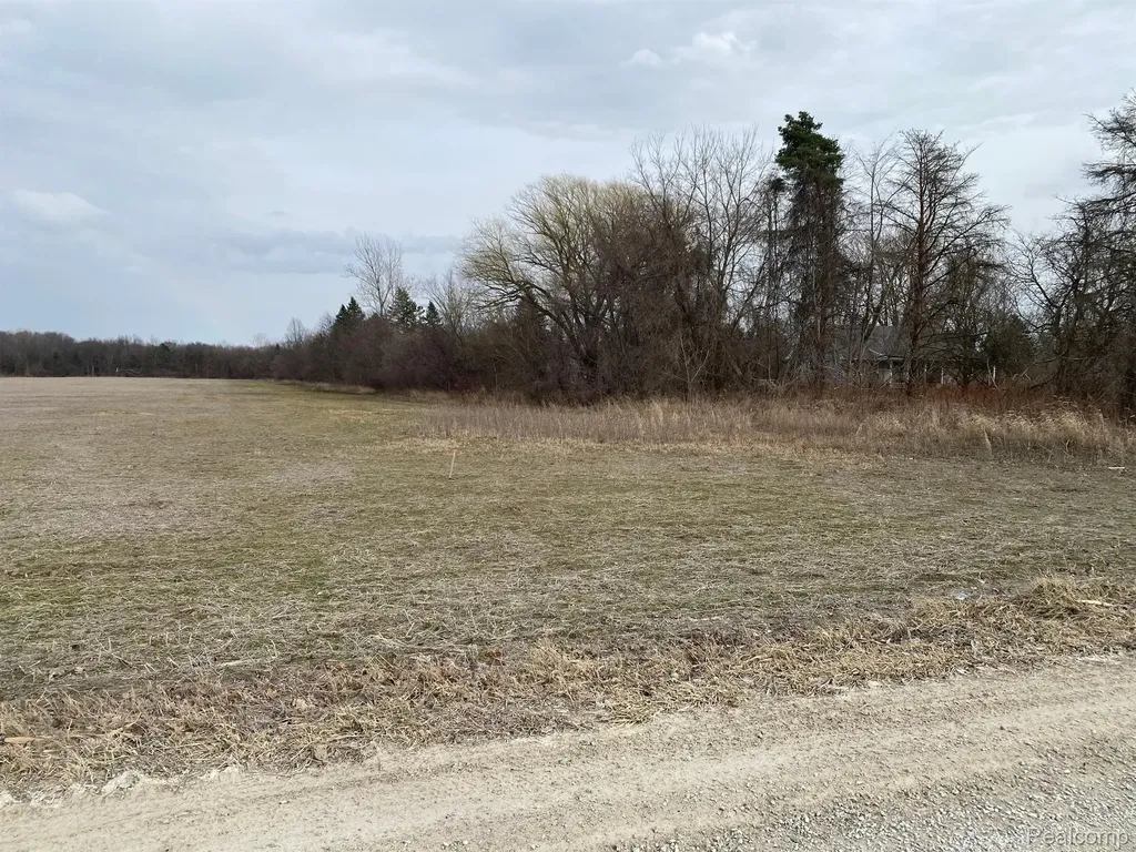 0002 Howland Road Almont Township MI 48003