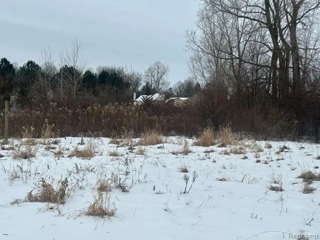 Lot B Belsay Burton City MI 48519