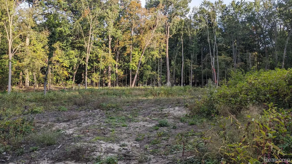 001 Hobson Waterford Charter Township MI 48328