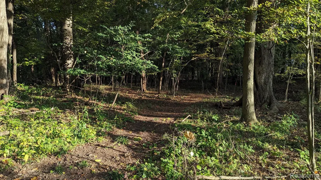001 Hobson Waterford Charter Township MI 48328