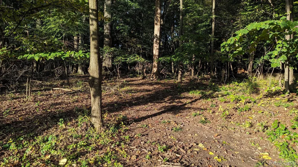 001 Hobson Waterford Charter Township MI 48328